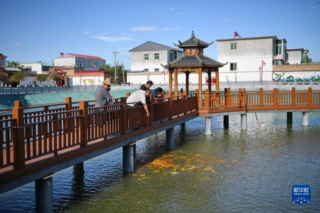 河北涿州：“废坑塘”变身乡村“风景线”