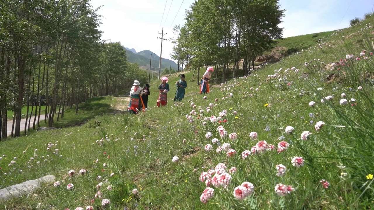 青海平安：在非遗文化中共享幸福生活