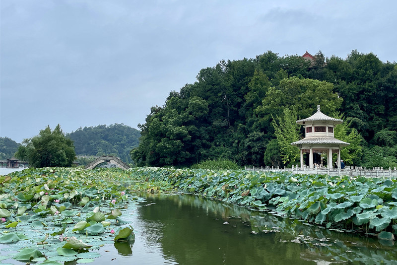 湖南长沙县：河湖漾清波 碧水润民生