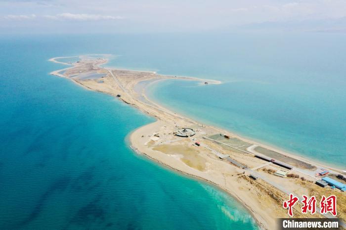 《青海湖野生动植物名录》通过专家评审 进一步明确生物多样性“家底”