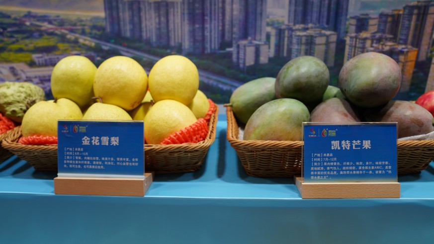 四川米易举办在蓉企业家代表中秋节座谈会