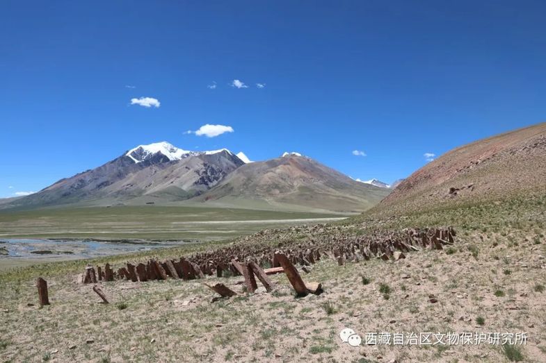 当惹雍错2023年度环湖考古调查工作顺利结束