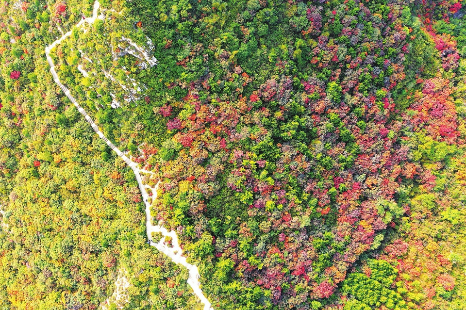 秋染崛围山 景色美如画