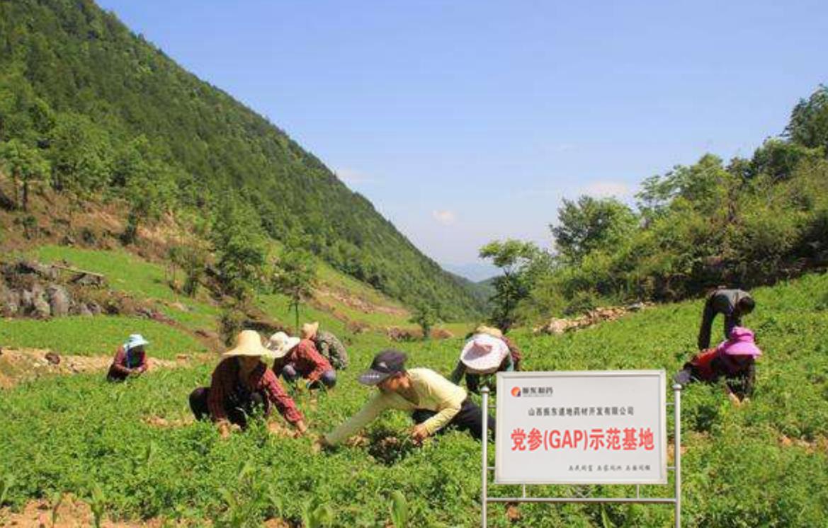 山西振东：三十而“励” 从“新”出发