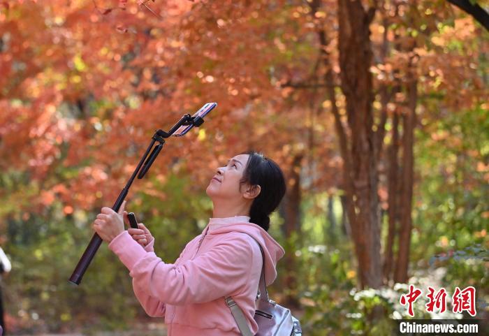 吉林长春：秋景如画引游人