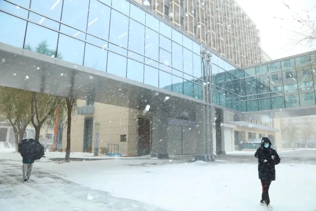 暴雪！哈工大校园暖廊可5分钟直达……