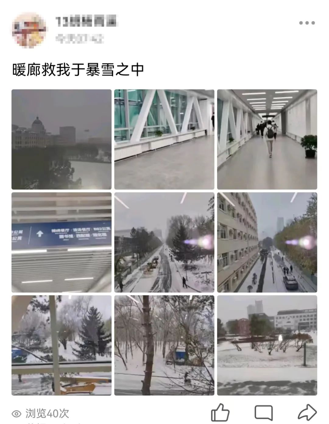 暴雪！哈工大校园暖廊可5分钟直达……