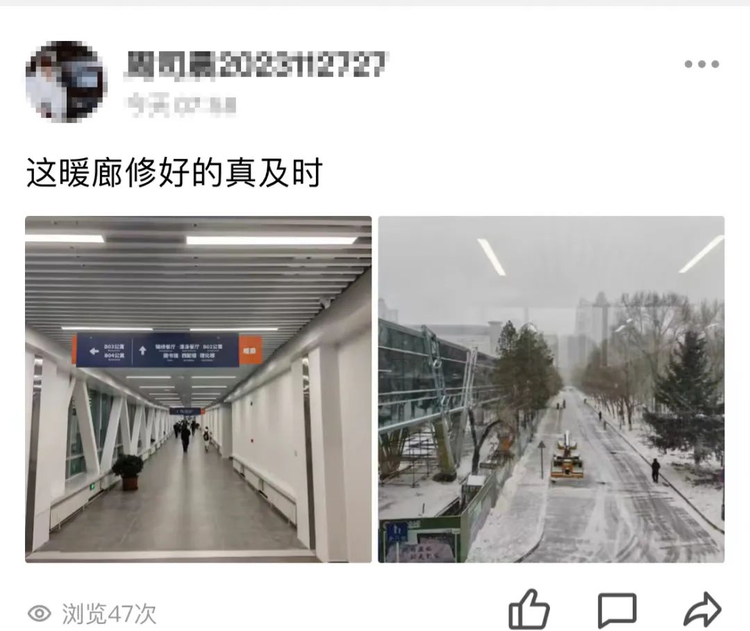 暴雪！哈工大校园暖廊可5分钟直达……