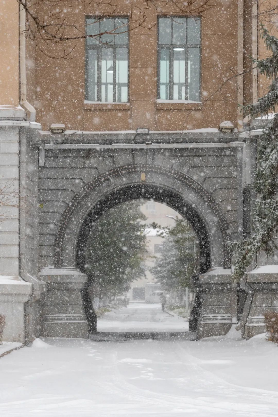 暴雪！哈工大校园暖廊可5分钟直达……