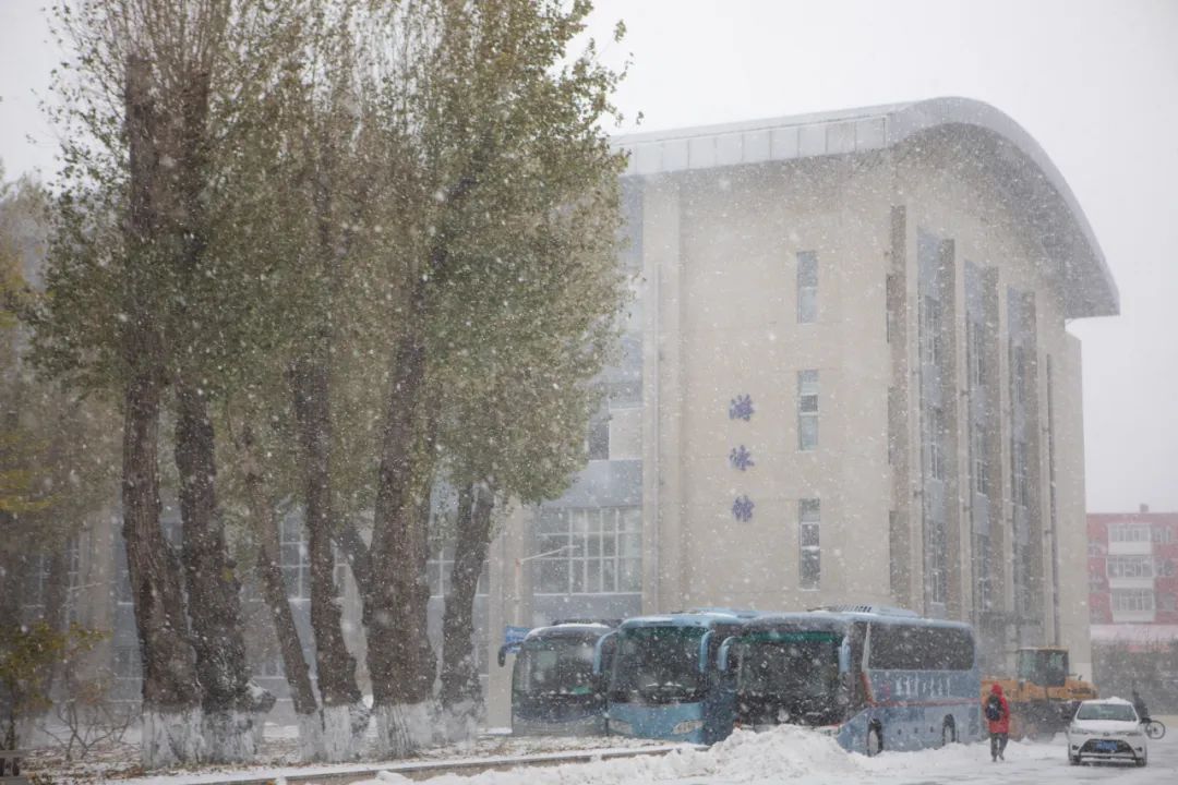 暴雪！哈工大校园暖廊可5分钟直达……