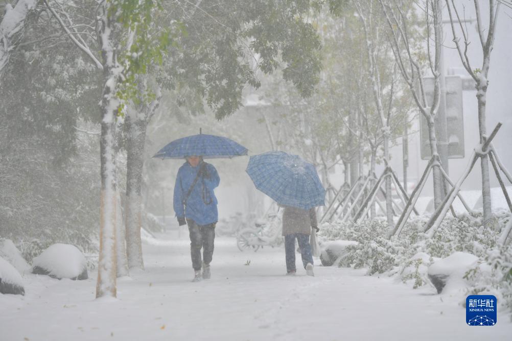 沈阳迎来大范围降雪