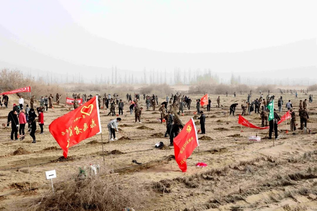 植树造林护家园 绿水青山书画卷