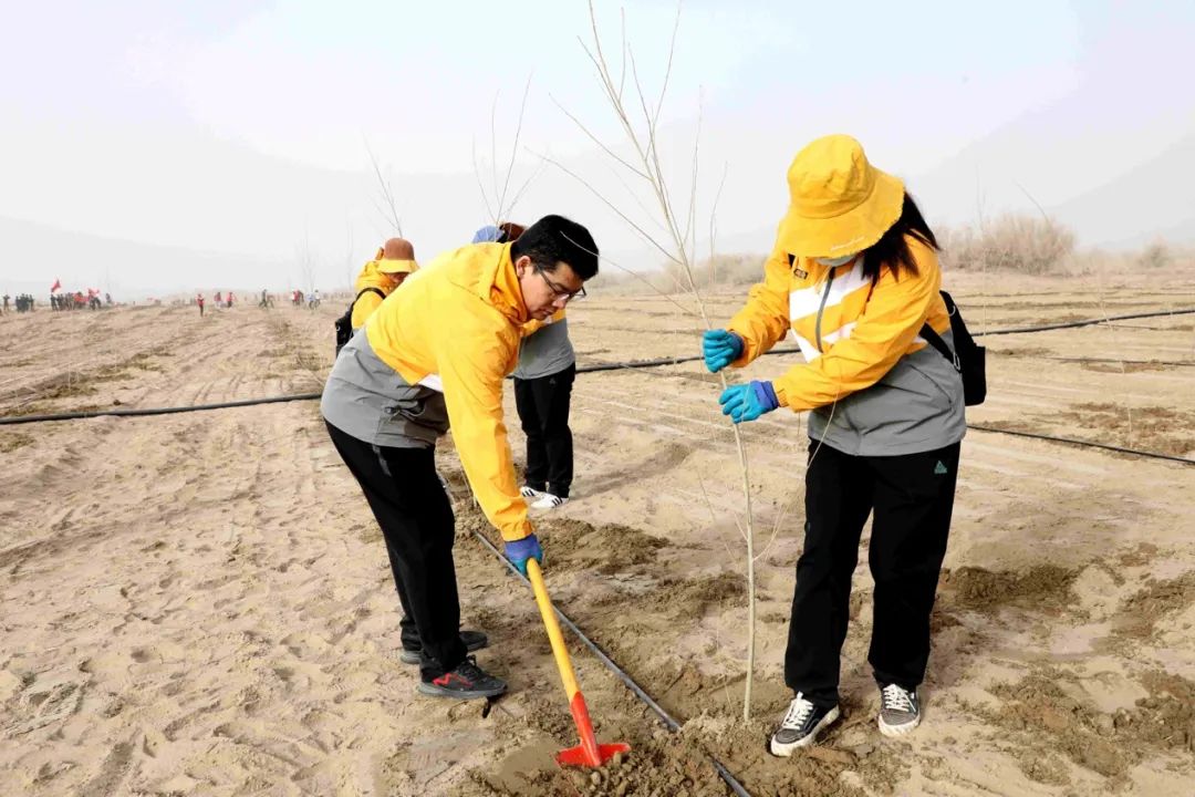 植树造林护家园 绿水青山书画卷