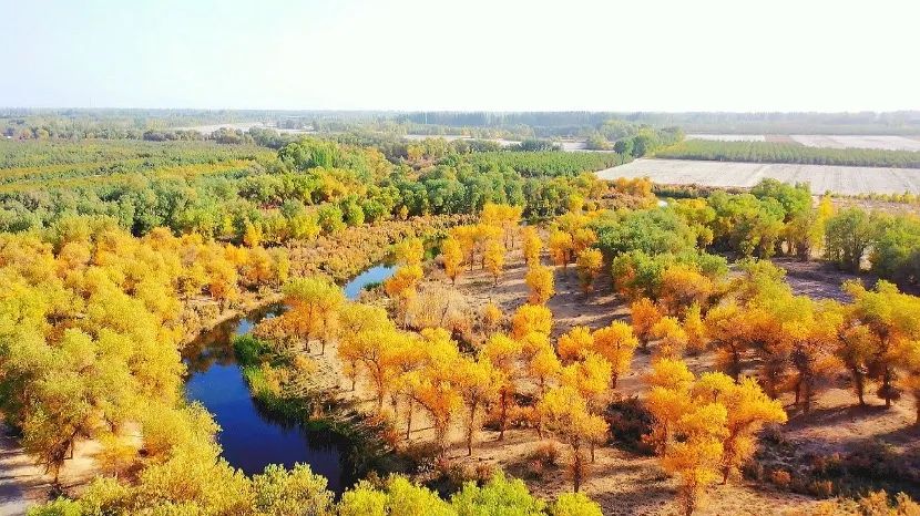 植树造林护家园 绿水青山书画卷