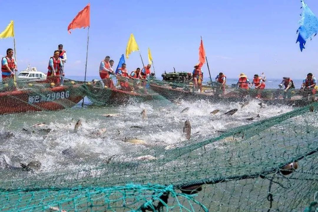 醉美巴州，河湖奔涌