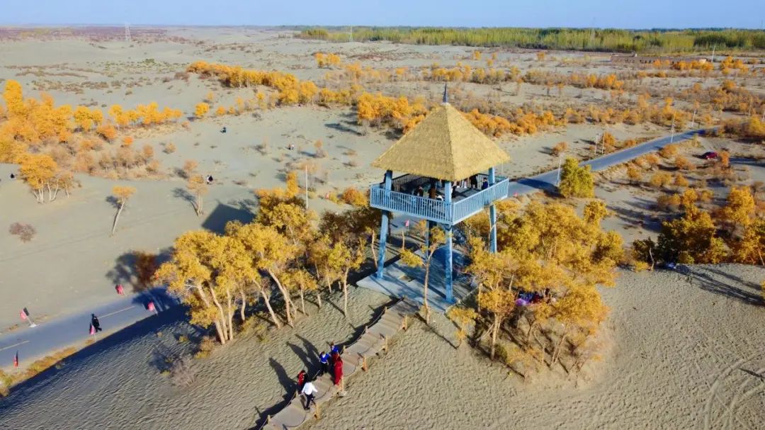 体验沙漠旅游，感受极致新疆