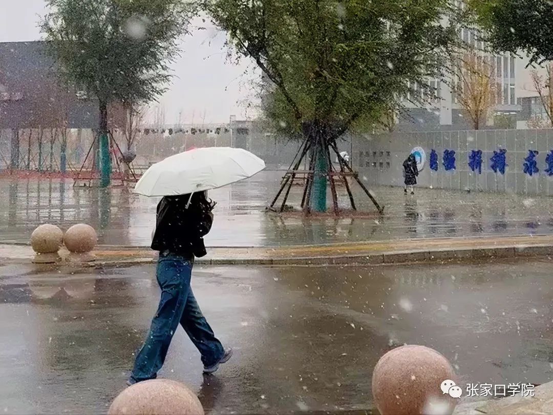 迎初雪，小院儿与你共白头
