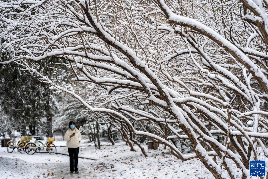 山东济南出现降温雨雪天气