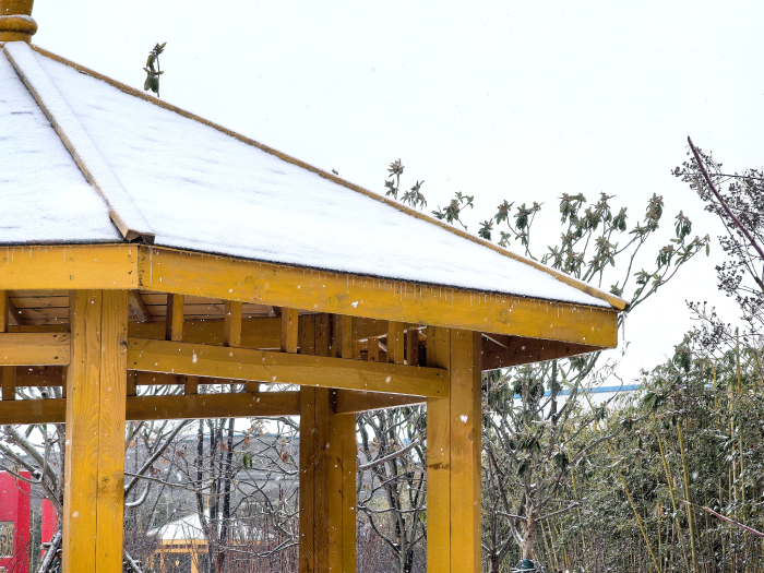 河南开封禹王台区：雪后南郊乡 乡村振兴图