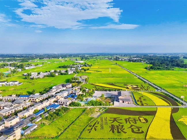 城乡光景又一年①｜三餐里的“天府粮仓”