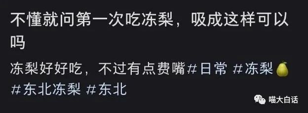 关于尔滨“初代顶流”，我们进行了深入细致的研究……