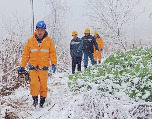 “电力先锋”雪天排障保畅通