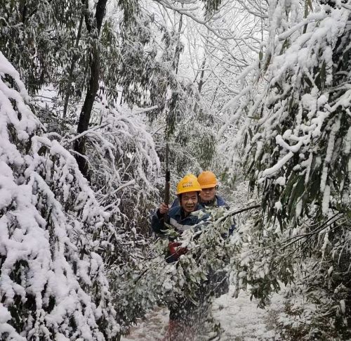 “电力先锋”雪天排障保畅通