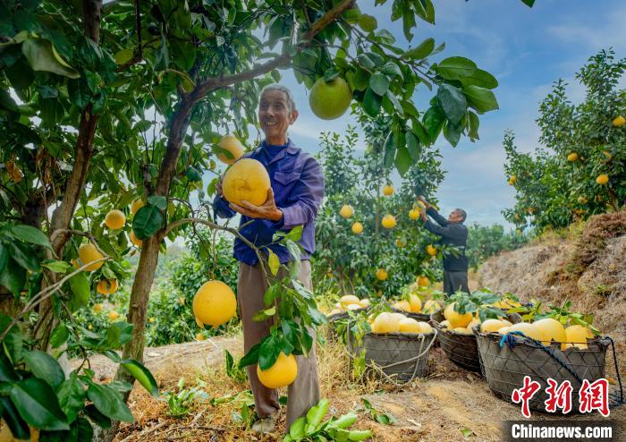 江西上饶:延伸农业产业链 拓宽农民致富增收渠道