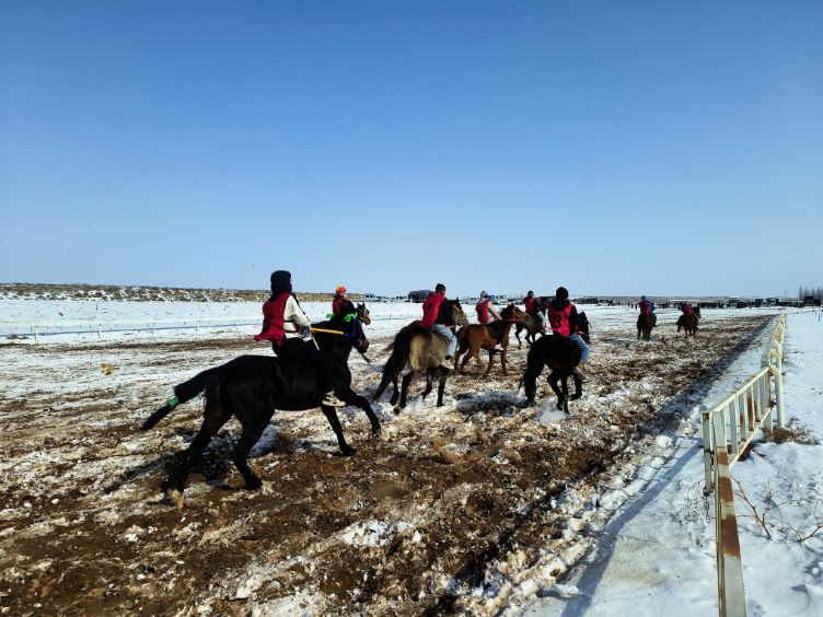 元宵节+雪地赛马+搏克+哈日靶……是什么新体验？