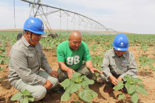 内蒙古电力集团包头达茂供电公司：“电”亮边疆团结奋进新图景