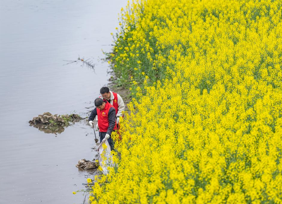 川渝“一抹志愿红” 守护碧水向东流