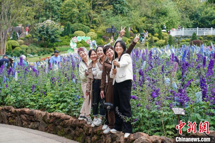 广西南宁：山花烂漫 游人如织