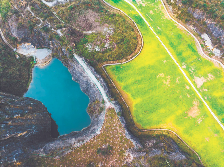 在废弃矿坑种下一片花海看红炉村如何迎来蝶变