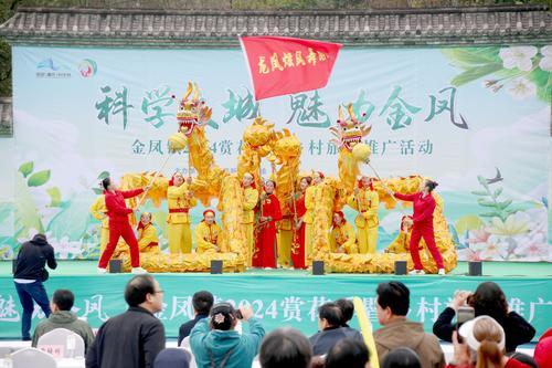 走，到科学城赏花海！ 金凤百年梨园邀你共赴一场花朝之约（附游玩攻略）→