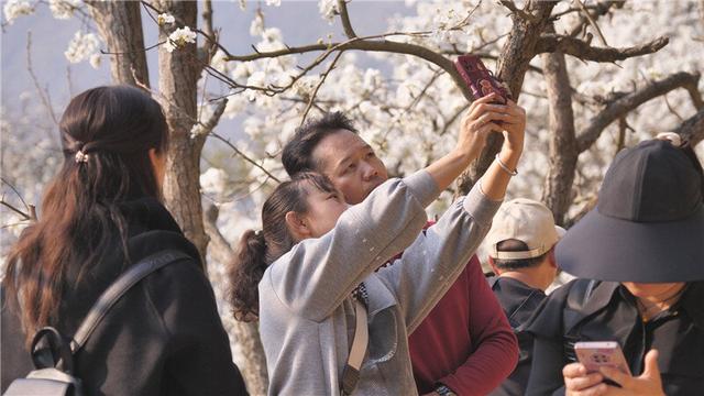 万千气象看云南·春暖花开彩云南丨唰唰几笔，把春天穿在身上③我用梨花点裙装