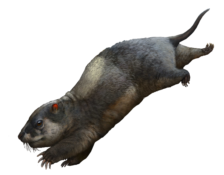 三列齿兽类首次在重庆云阳被发现 它们是中侏罗世早期云阳恐龙的“邻居”