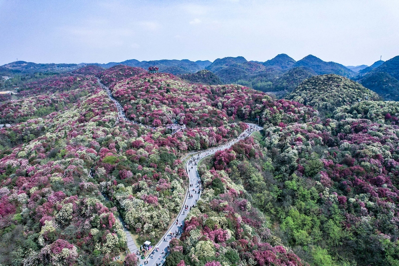 贵州：推动文旅深度融合 打造世界级旅游目的地