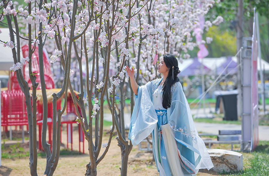 津彩一刻丨花漾“通武廊” 桃韵满津溪