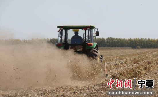 宁夏固原：玉米秸秆做饲草 变废为宝促增收