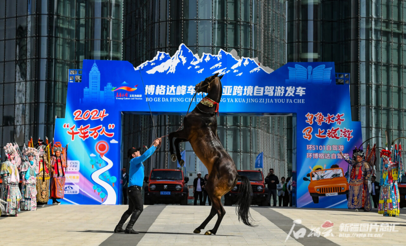 汗血宝马助兴乌鲁木齐“马上旅游”