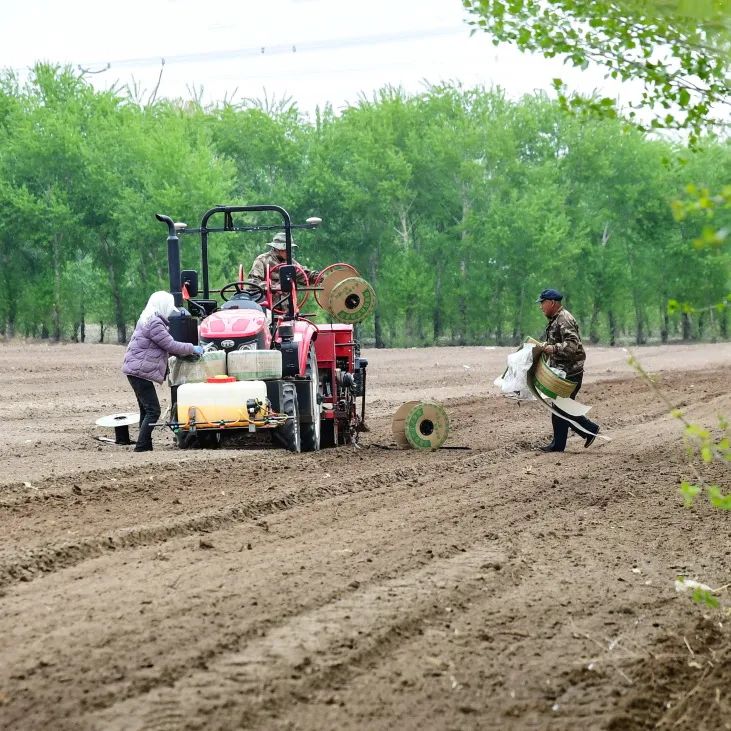 内蒙通辽：千亩药材种植忙 振兴路上飘药香