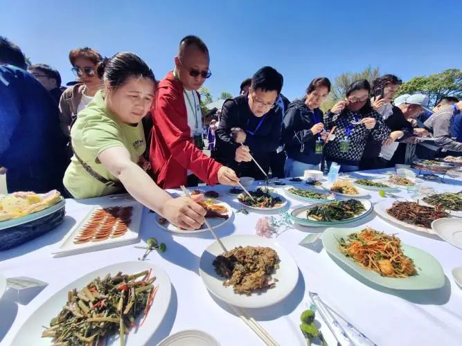 “旅居康养·乐享龙江” 全国养老行业协会龙江行——走进伊春森林康养目的地