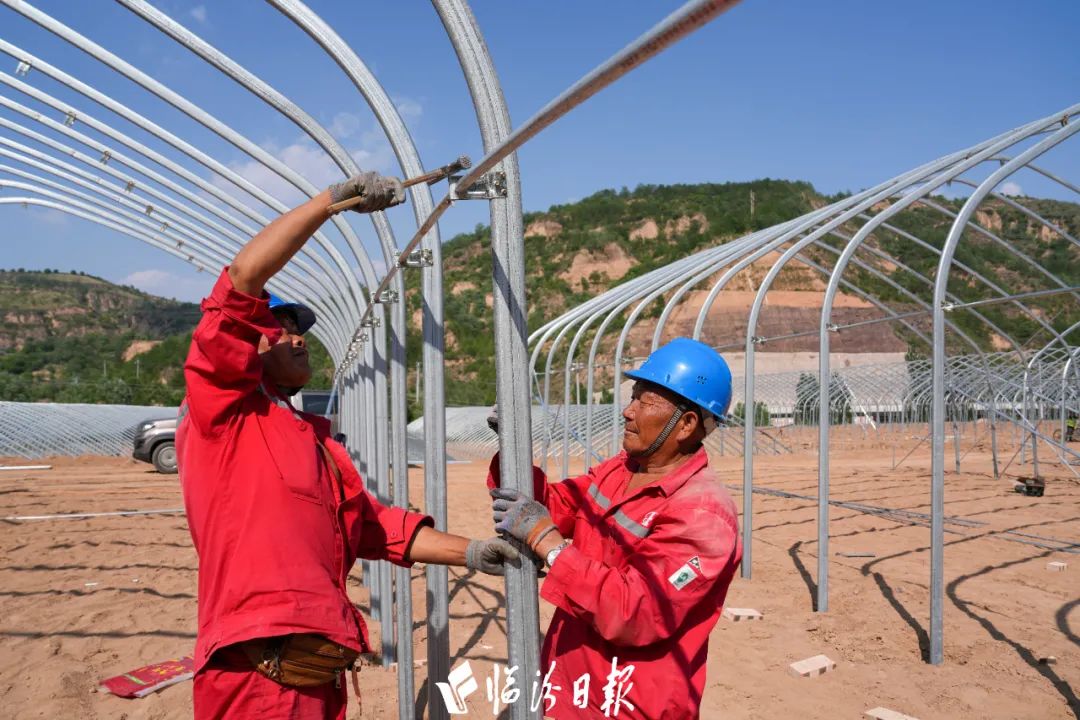 菌光互补！临汾这里将打造大型食用菌产业园