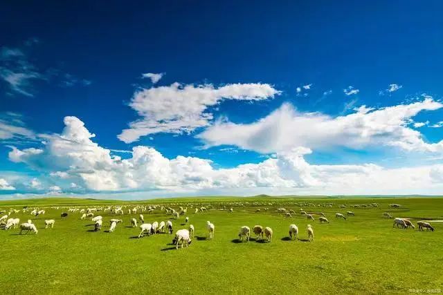 山水盛景引人醉 文旅和鸣乘势起——内蒙古呼伦贝尔加快推进文旅产业提标提效高质量发展