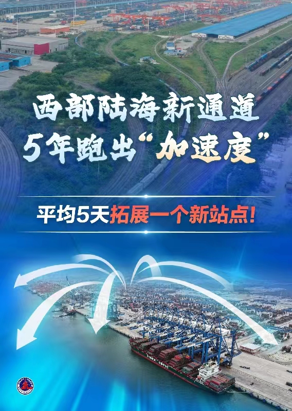 平均5天拓展一个新站点！西部陆海新通道5年跑出“加速度”