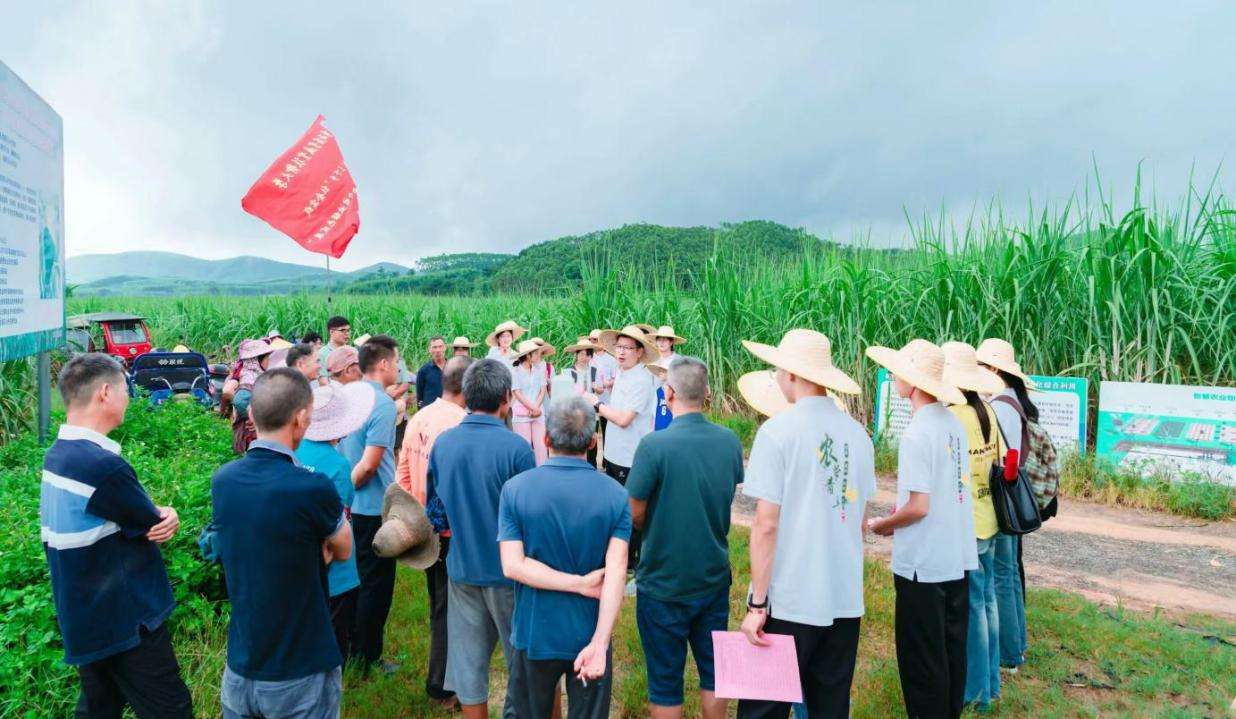 广西农职大青年赴基层助推农业现代化与乡村振兴