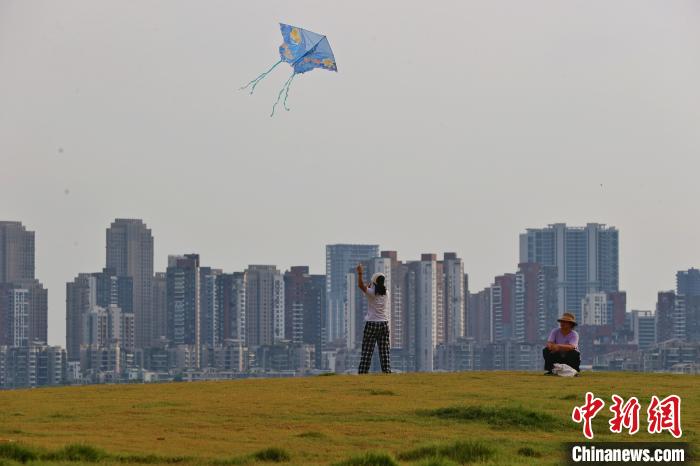 湖北武汉:放风筝享受夏日清凉