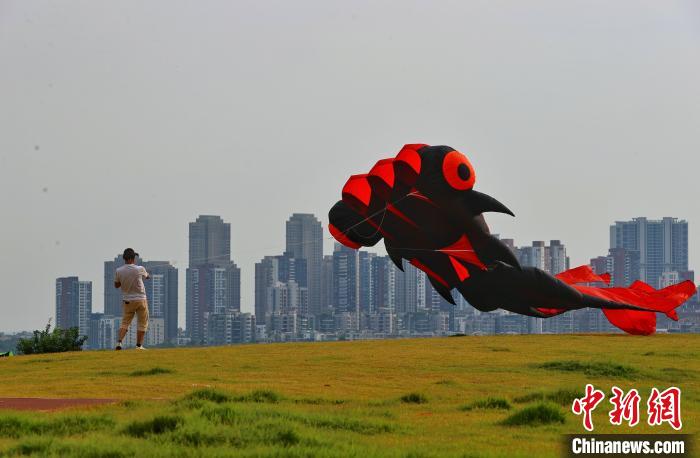 湖北武汉:放风筝享受夏日清凉