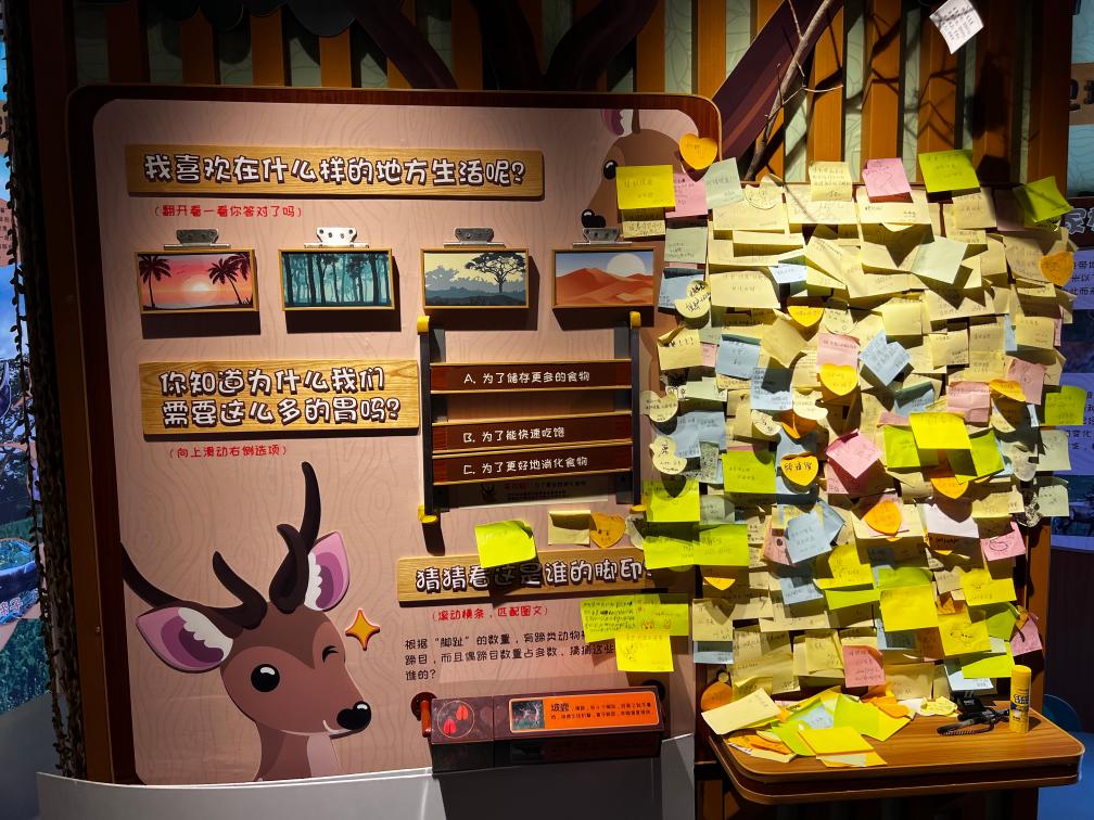 海南坡鹿:从极度濒危到“呦呦鹿鸣”