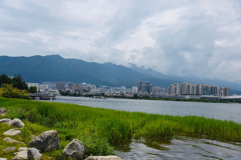 高质量发展调研行｜记者观察：水清岸绿碧波荡——解码洱海生态治理实践